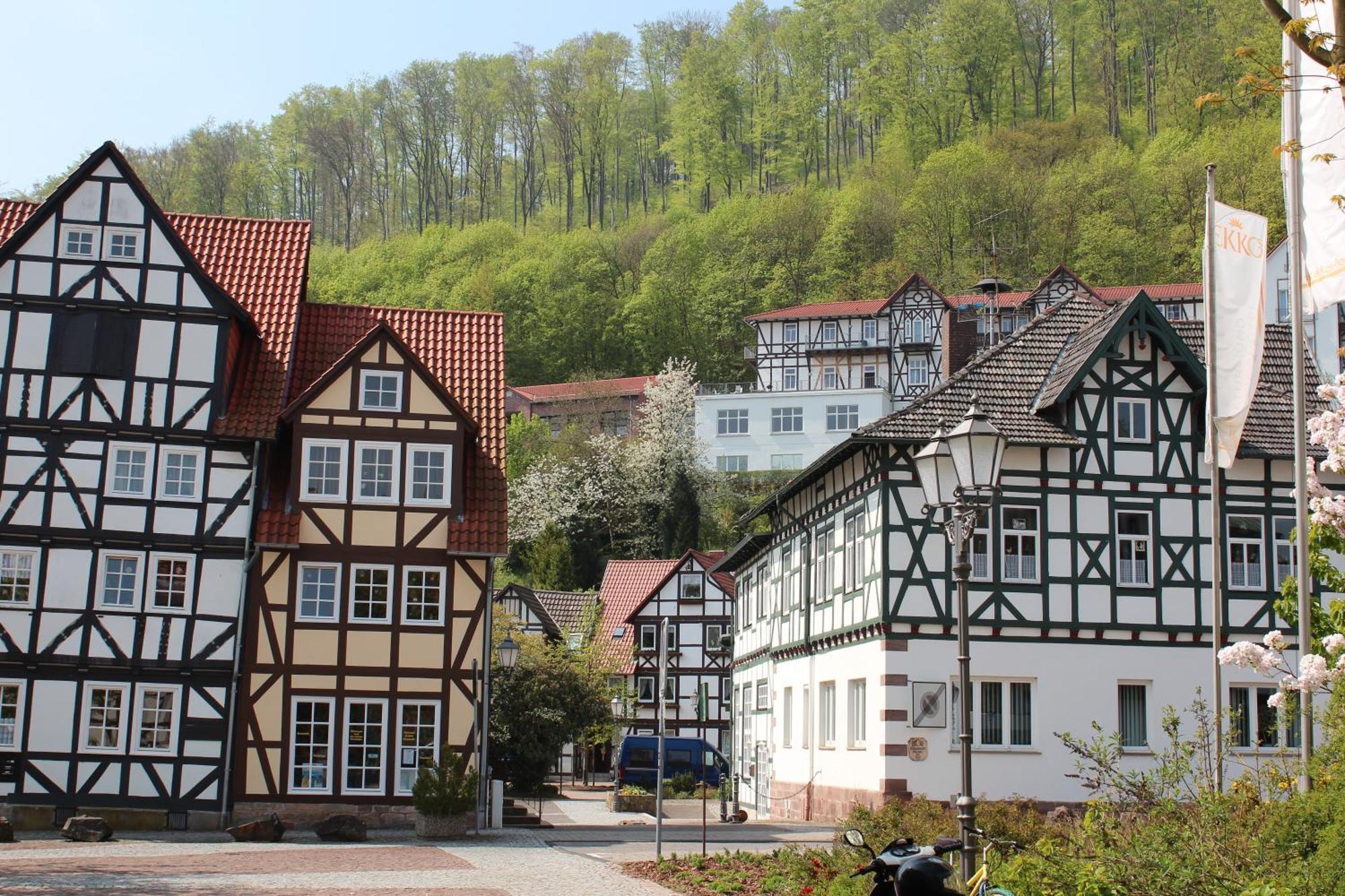 Haus Alice Apartment Bad Sooden-Allendorf Exterior photo